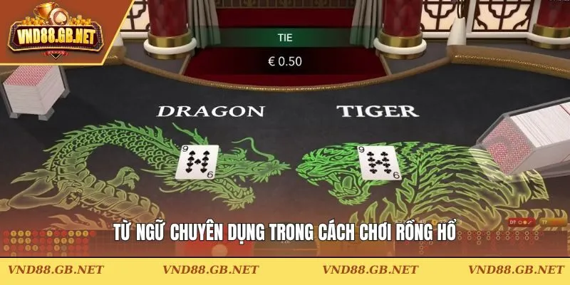 Từ ngữ chuyên dụng trong cách chơi Rồng Hổ