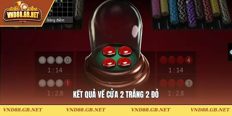Lựa chọn cược cửa 2 trắng 2 đỏ