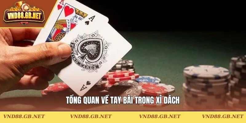 Tổng quan về tay bài trong xì dách